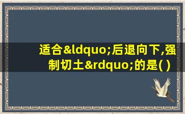 适合“后退向下,强制切土”的是( )挖土机